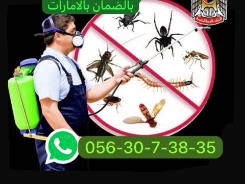 100 درهم فقط مكافحة حشرات بالضمان دبي الشارقة عجمان ام القيوين 0563073835 حشرات مكافحة