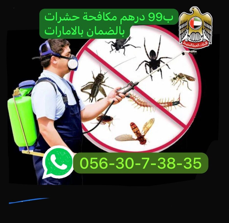 100 درهم فقط مكافحة حشرات بالضمان دبي الشارقة عجمان ام القيوين 0563073835 حشرات مكافحة